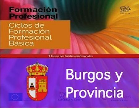Oferta Educativa CIFP Simón de Colonia  curso 2018-2019